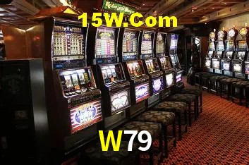 W79 Salvador - Support