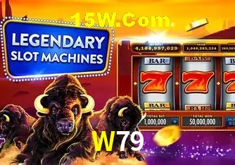 W79 - Security