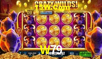 W79 Fortaleza - Sports Winners